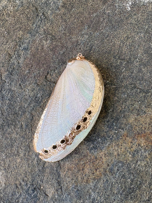 Found Along the Shore