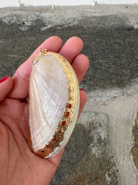 Found Along the Shore